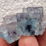 Fluorita
3,6 x 2,7 cm.
(Autor: carles)