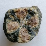 Andalucita (variedad quiastolita).
3 x 3 cm.
(Autor: Rafael varela olveira)