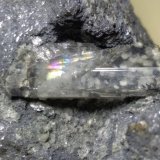 Fosgenita, Galena
90 x 77 mm
(Autor: Sante Celiberti)