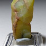 Smithsonita
33 x 18 mm
(Autor: Sante Celiberti)