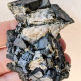 Ullmannita (arsenical), Calcita
6,8 x 4,8 x 2,5 cm.
(Autor: carles)