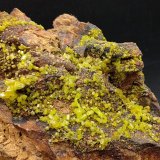 Piromorfita
14x13cm
(Autor: yowanni)