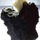 Anglesita
51 x 42 mm
(Autor: Sante Celiberti)
