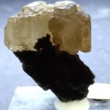 Fosgenita
28 x 25 mm
(Autor: Sante Celiberti)