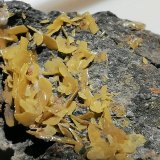 Wulfenita.
7 x 4 cm.
(Autor: Rafael varela olveira)