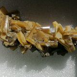 Wulfenita.
6 x 2 cm.
(Autor: Rafael varela olveira)