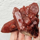 Cuarzo (variedad cuarzo rojo)
10,5 x 8,7 x 4,3 cm.
(Autor: carles)
