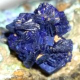 Azurita, Chalcocita (Calcosina), Philipsburgita, Theisita
73 x 40 mm
(Autor: Sante Celiberti)