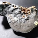 Romanèchita
160 x 125 mm
(Autor: Sante Celiberti)
