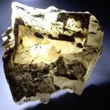 Fluorita, Marcasita
144 x 130 mm
(Autor: Sante Celiberti)