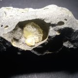 Calcita
65 x 45 mm
(Autor: Sante Celiberti)