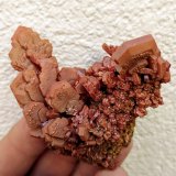 Vanadinita
6,2 x 5,5 cm.
(Autor: carles)