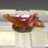 Grossularia (variedad hessonita)
9 x 4 mm
(Autor: Sante Celiberti)