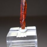 Grossularia (variedad hessonita)
22 x 4 mm
(Autor: Sante Celiberti)