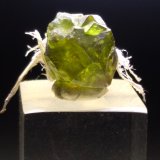 Andradita (variedad demantoide), Asbesto
12 x 11 mm
(Autor: Sante Celiberti)