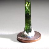 Diopsido (variedad cromífera)
23 x 4,2 mm
(Autor: Sante Celiberti)