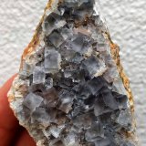 Fluorita
7,5 x 4,2 x 3,7 cm.
(Autor: carles)