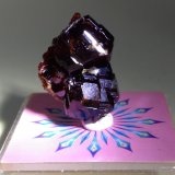 Grossularia
18 x 14 mm
(Autor: Sante Celiberti)