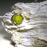 Andradita (variedad demantoide), Asbesto
80 x 32 mm
(Autor: Sante Celiberti)