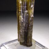 Zoisita
58 x 14 mm
(Autor: Sante Celiberti)