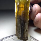 Zoisita
58 x 14 mm
(Autor: Sante Celiberti)