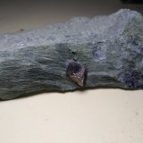 Perovskita, Magnetita
102 x 52 mmPo
(Autor: Sante Celiberti)