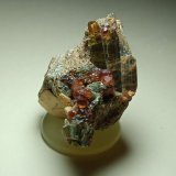 Vesuvianita (Vesubiana), Grossularia (variedad hessonita), Clinocloro
30 x 28 mm
(Autor: Sante Celiberti)