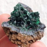 Malaquita
3,4 x 3,3 x 1,8 cm
(Autor: carles)