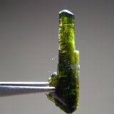 Epidota
25 x 8 mm
(Autor: Sante Celiberti)