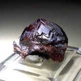 Grossularia (variedad  hessonita)
20 x 15 mm
(Autor: Sante Celiberti)