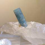 Berilo (variedad aguamarina)
93 x 38 mm
(Autor: Sante Celiberti)