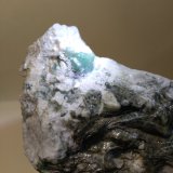 Berilo (variedad esmeralda)
82 x 65 mm
(Autor: Sante Celiberti)