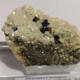 Esfalerita y Dolomita
95x55x40mm
(Autor: joaquin gar)