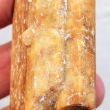 Ortoclasa
5,5 x 3,8 x 2,0 cm.
(Autor: carles)