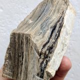 Ópalo
8,1 x 4,2 cm.
(Autor: carles)