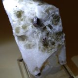 Rutilo, Moscovita, Cuarzo
68 x 36 mm
(Autor: Sante Celiberti)