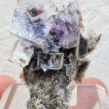 Fluorita, Esfalerita, Cuarzo
5,0 x 3,3 x 2,1 cm.
(Autor: carles)