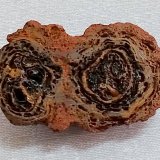 Goethita
4,3 x 2,1 x 2,4 cm
(Autor: Anisio Claudio)