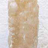 Celestina
12,5 x 3,6 cm.
(Autor: carles)