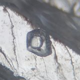 Topacio
Inclusión con 0,3 x 0,3 mm
(Autor: Anisio Claudio)