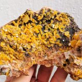 Wulfenita, Mottramita
14,2 x 8,6 x 4,0 cm.
(Autor: carles)