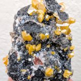 Wulfenita, Cerusita, Dolomita
7,3 x 5,6 x 3,4 cm.
(Autor: carles)
