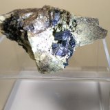 Clintonita
65 x 40 mm
(Autor: Sante Celiberti)