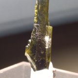 Epidota
26 x 8 mm
(Autor: Sante Celiberti)
