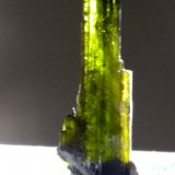 Epidota
26 x 8 mm
(Autor: Sante Celiberti)