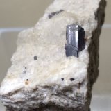 Rutilo
44 x 33 mm
(Autor: Sante Celiberti)