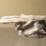 Bavenita
60 x 25 mm
(Autor: Sante Celiberti)