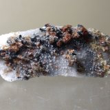 Chondrodita
59 x 26 mm
(Autor: Sante Celiberti)