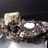 Pirita, Magnetita
75 x 53 mm
(Autor: Sante Celiberti)