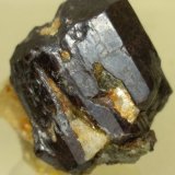 Rutilo
25 x 24 mm
(Autor: Sante Celiberti)